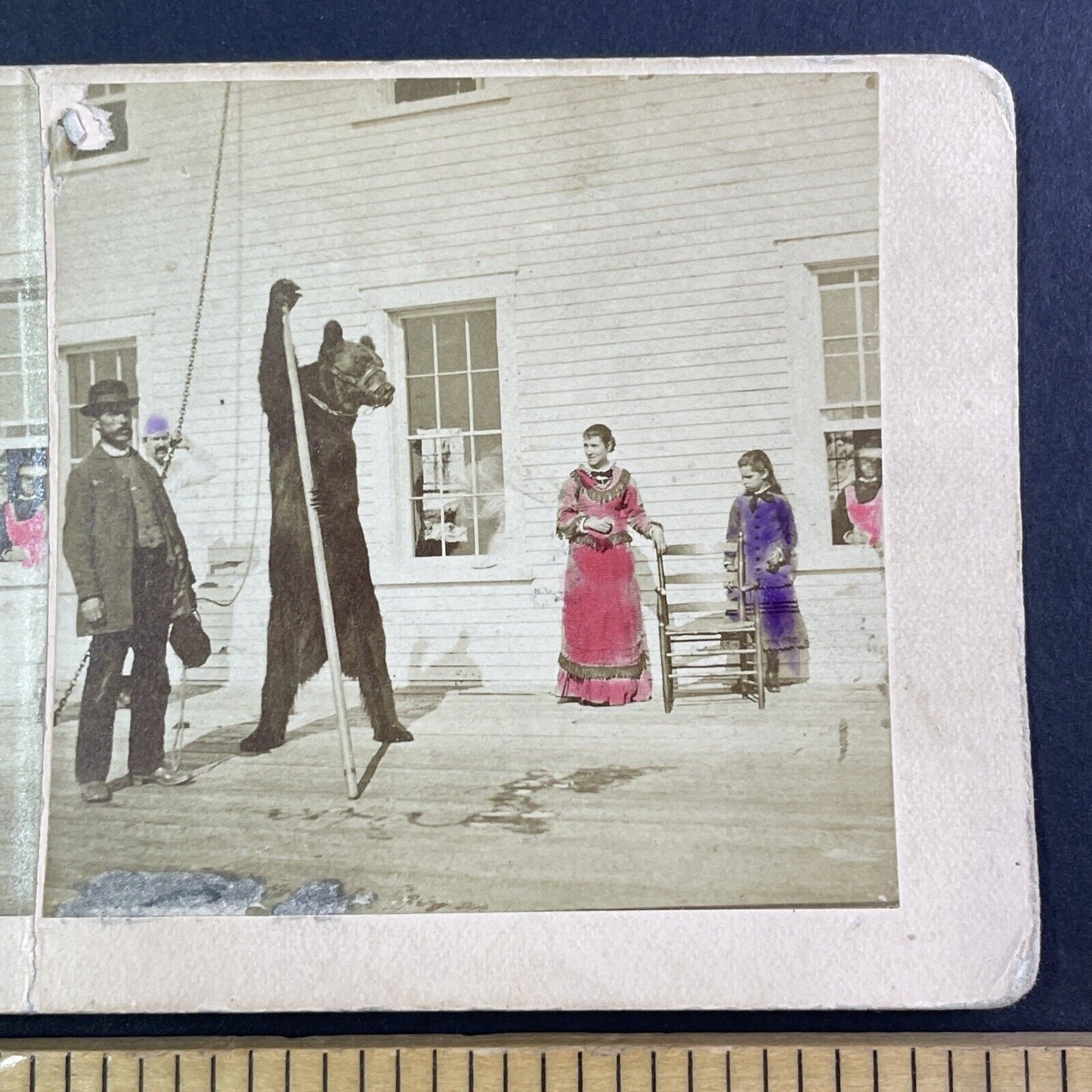 Quebec Dancing Chained Bear Circus Sideshow Act Stereoview c1880 Y922 CREASE