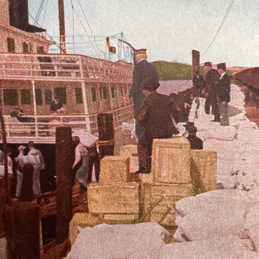 Antique 1910s San Francisco Earthquake Supply Ship Stereoview Photo Card 2300-05