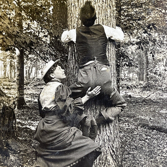 Antique 1892 Man & Woman Climbing A Tree Stereoview Photo Card P1051