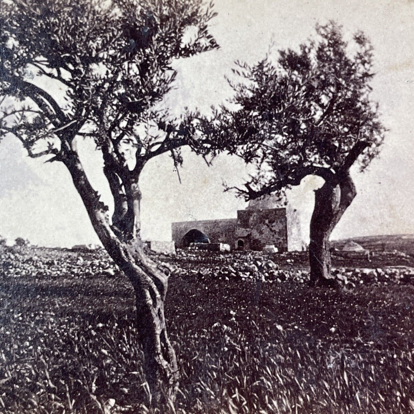 Rachel's Tomb Bethlehem Israel Palestine Stereoview Salt Print c1860 Y454