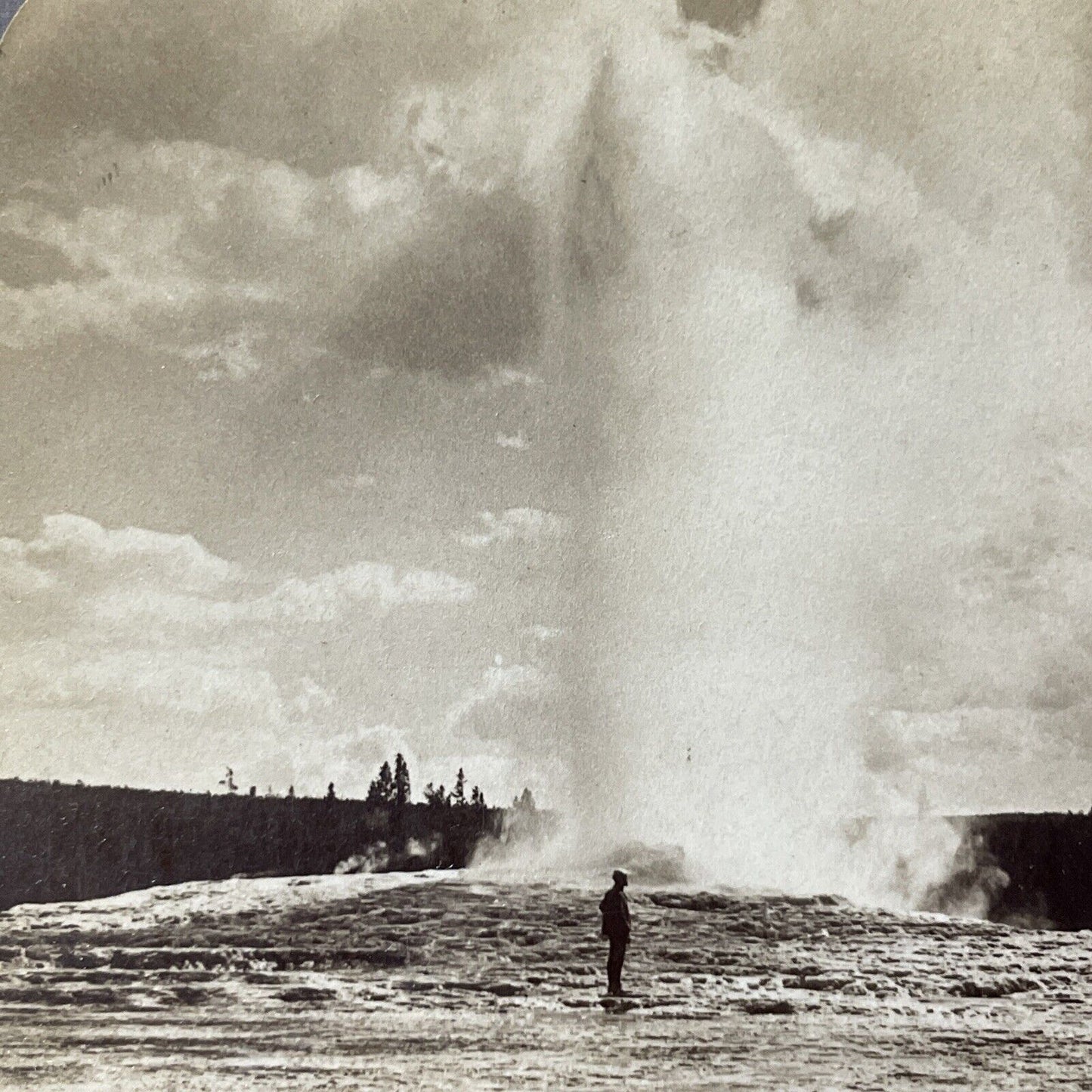 Antique 1904 Old Faithful Geyser Yellowstone Park Stereoview Photo Card V1817