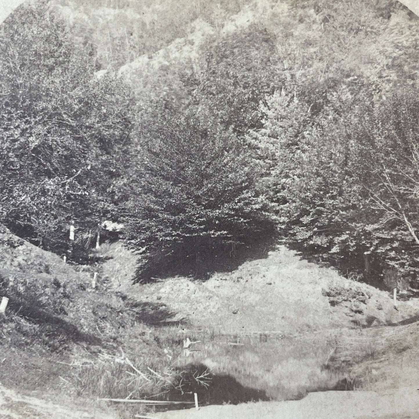 Antique 1870s Humphrey's Ledge North Conway NH Stereoview Photo Card V1777