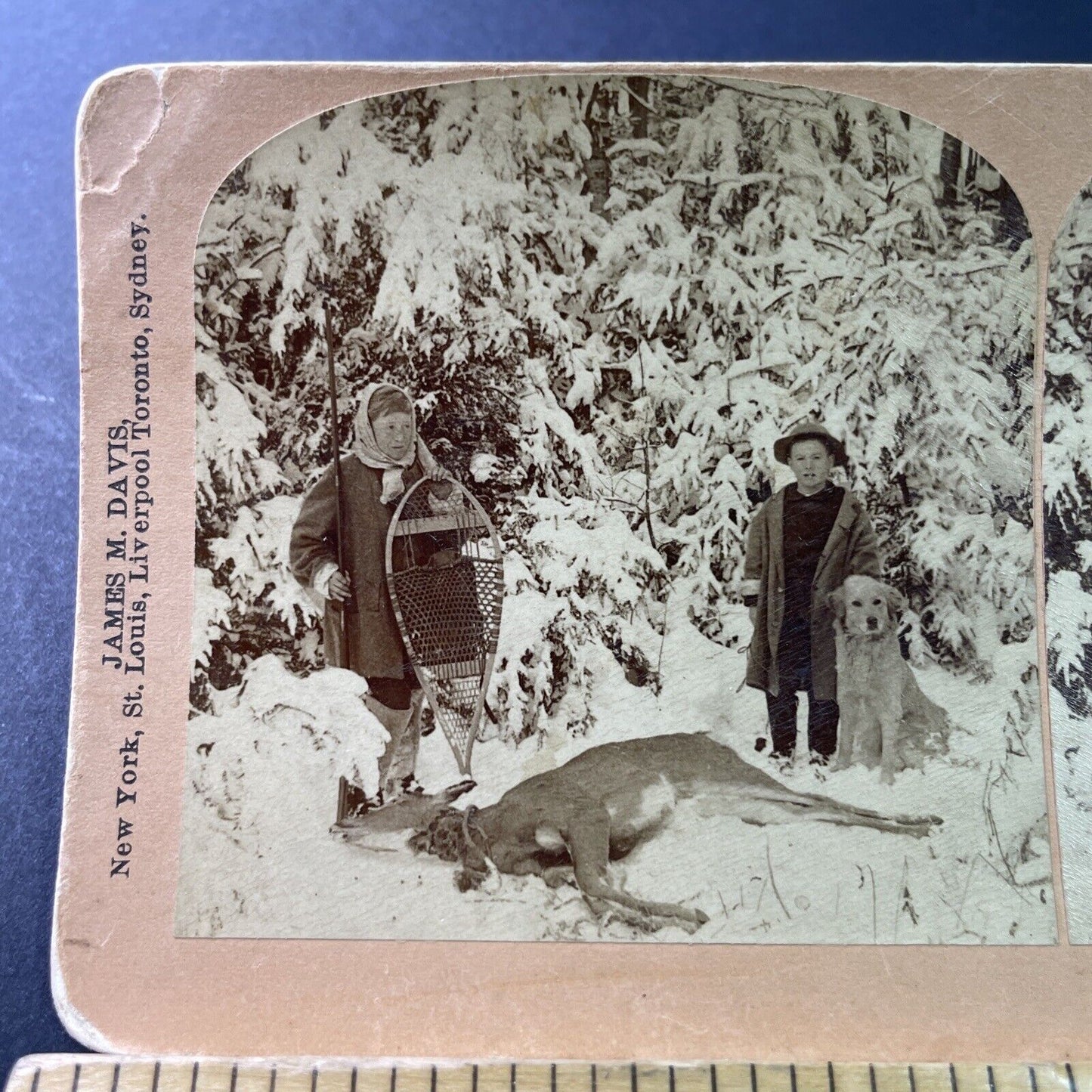 Antique 1889 Children Hunt And Kill A Deer Stereoview Photo Card P3307