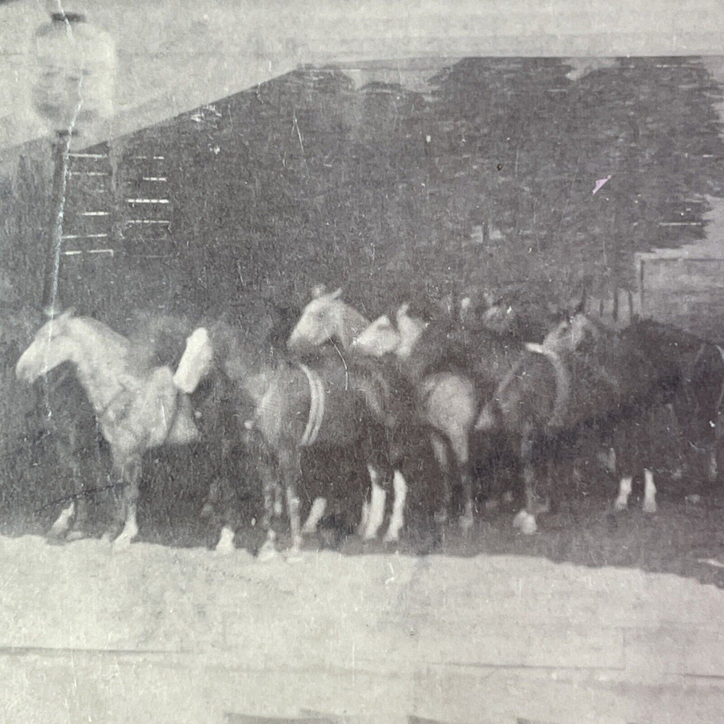 Civil War Re-Enactment with Horses and Soldier Stereoview Antique c1860s Y1306