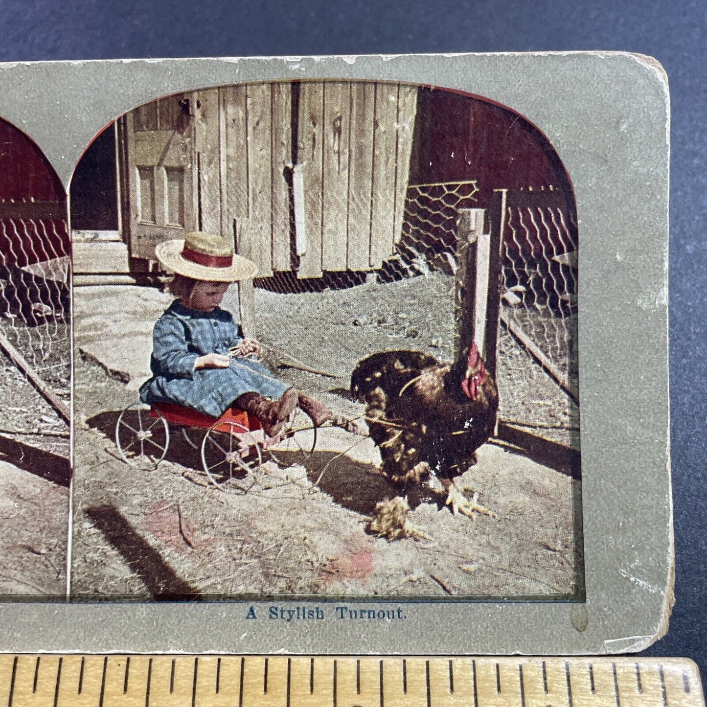 Antique 1905 A Chicken Drawn Carriage And Child Stereoview Photo Card Q2244