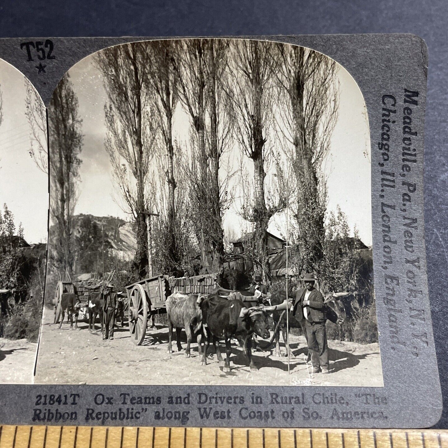 Antique 1910s An Oxen Ox Wagon Full Of Bricks Chile Stereoview Photo Card P5051