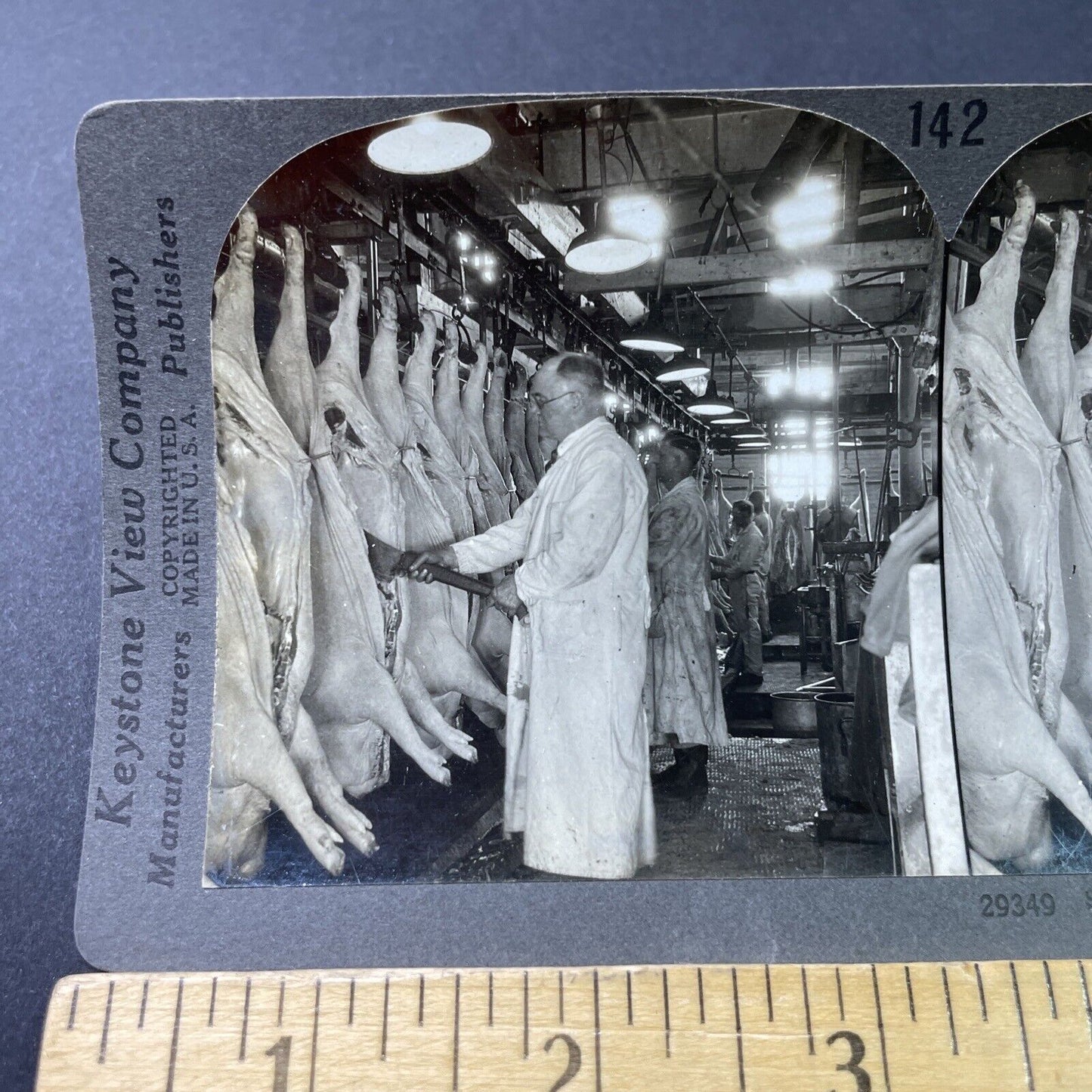 Antique 1918 Pig Pork Abattoir Chicago Illinois Stereoview Photo Card P3070