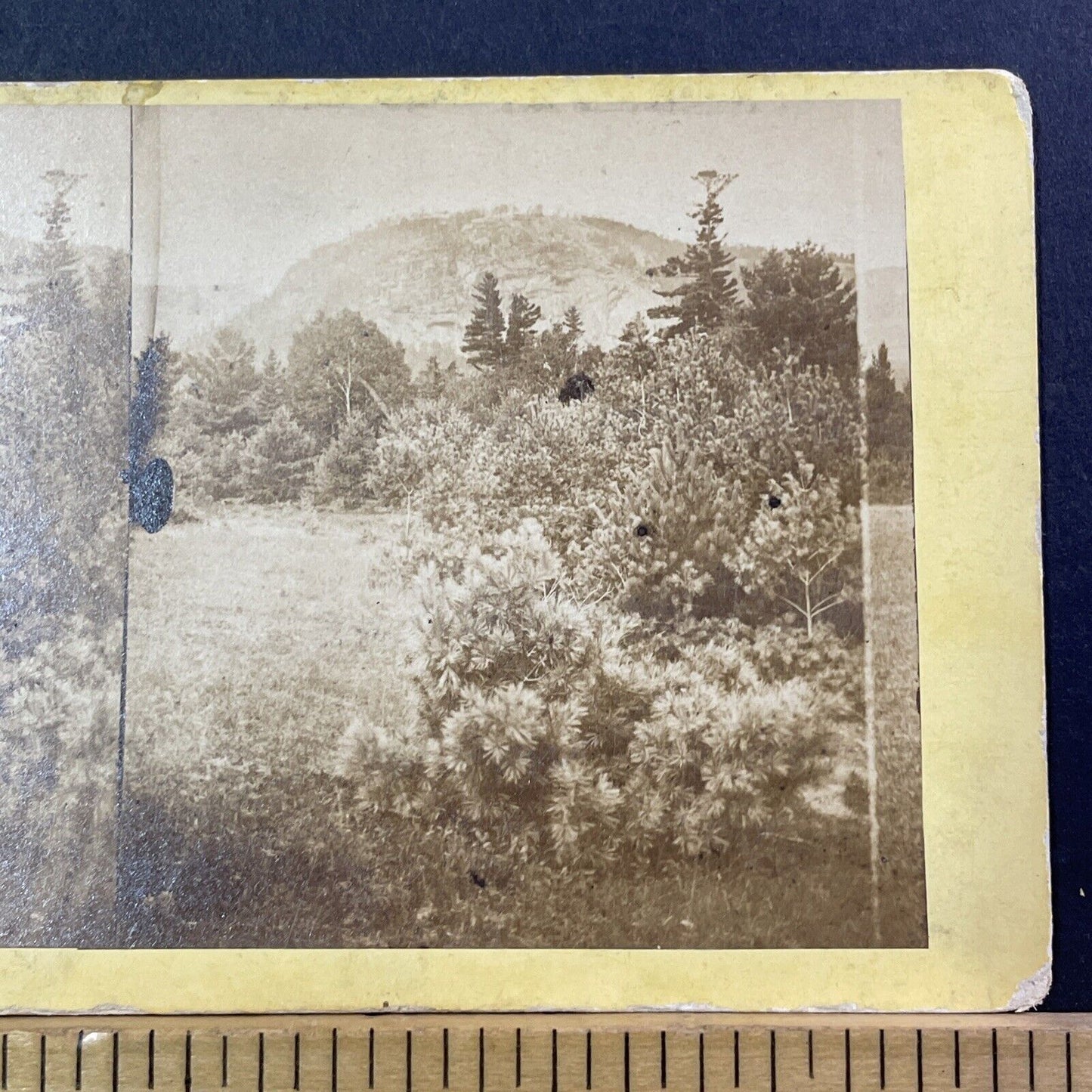 White Horse Ledge North Conway NH Stereoview Edward Bierstadt Antique c1870 X974