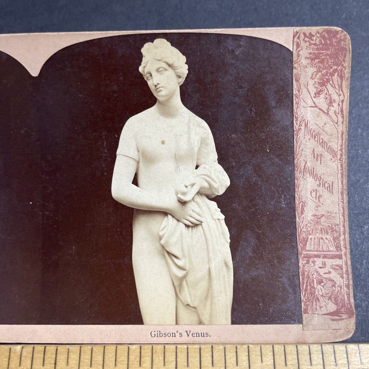 Antique 1880s Marble Carving Of Goddess Venus Stereoview Photo Card P4754