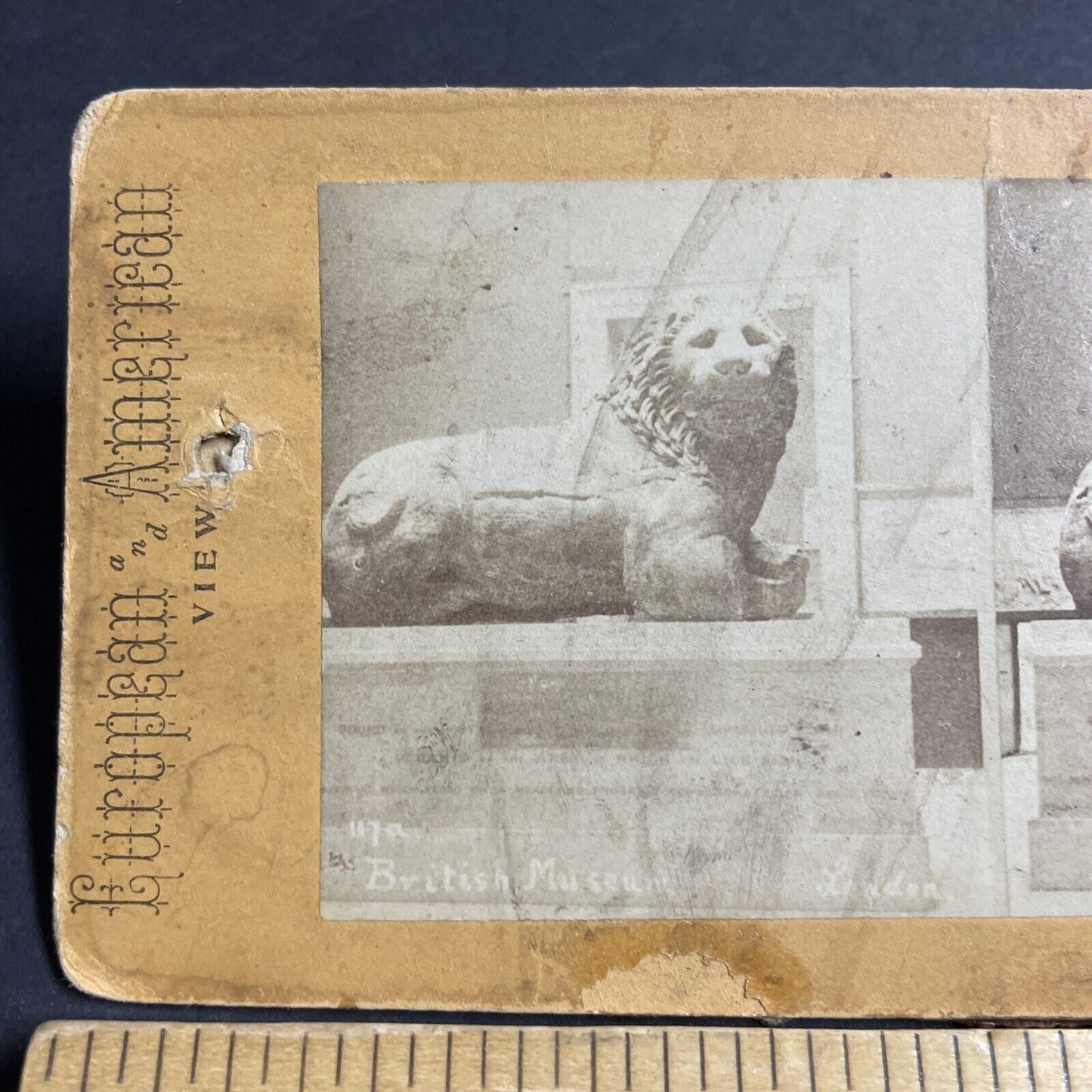 Antique 1870s Lion Of Knidos British Museum London Stereoview Photo Card P4539