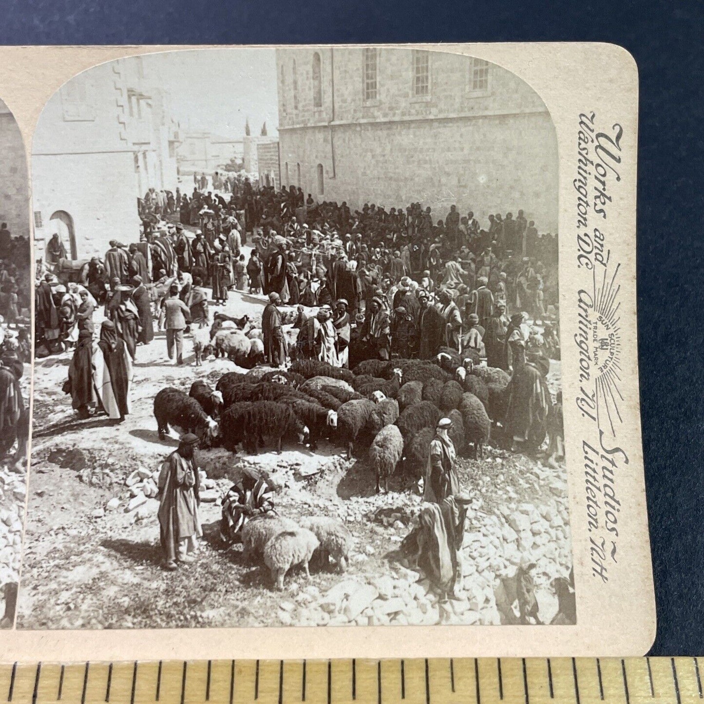 Antique 1880s Sheep Farmers Near Nazareth Israel Stereoview Photo Card P3772