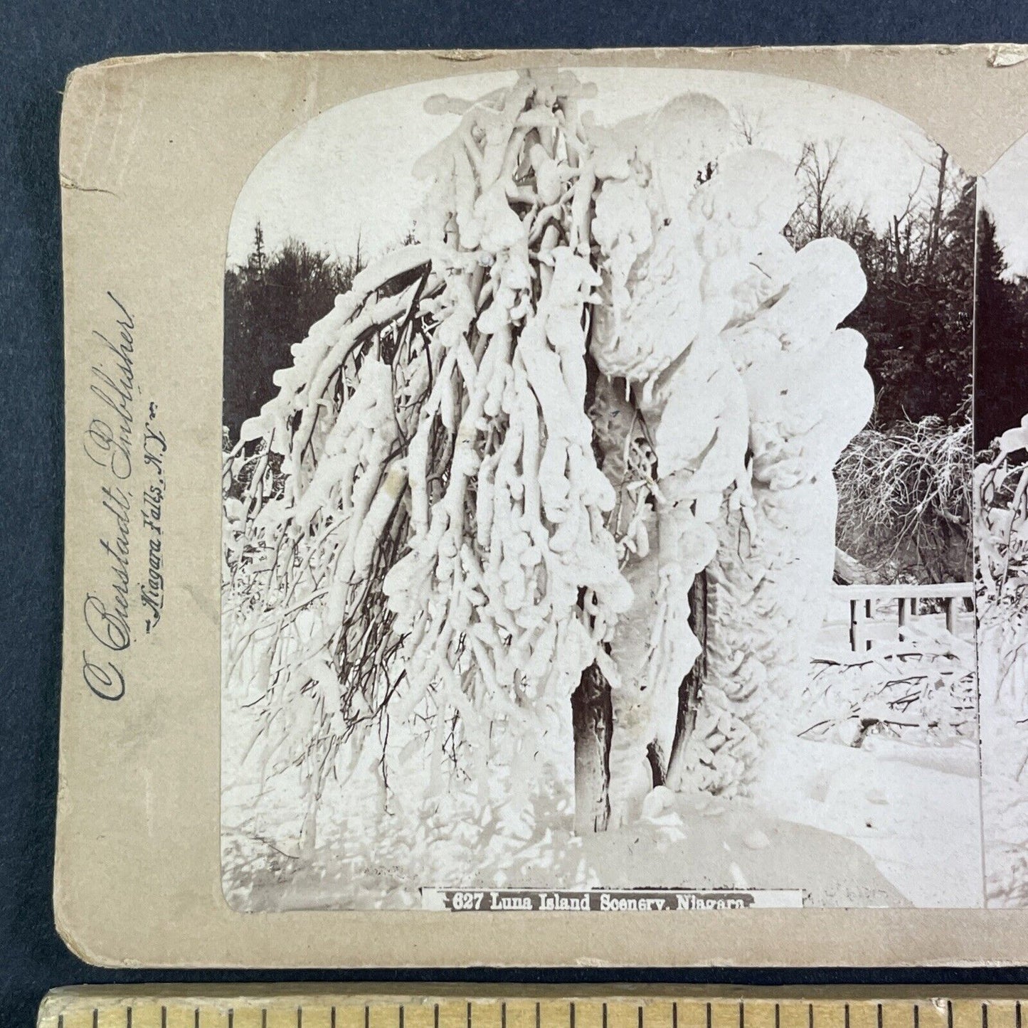 Luna Island Frozen Snow Tree Stereoview Charles Bierstadt Antique c1880 Y2701