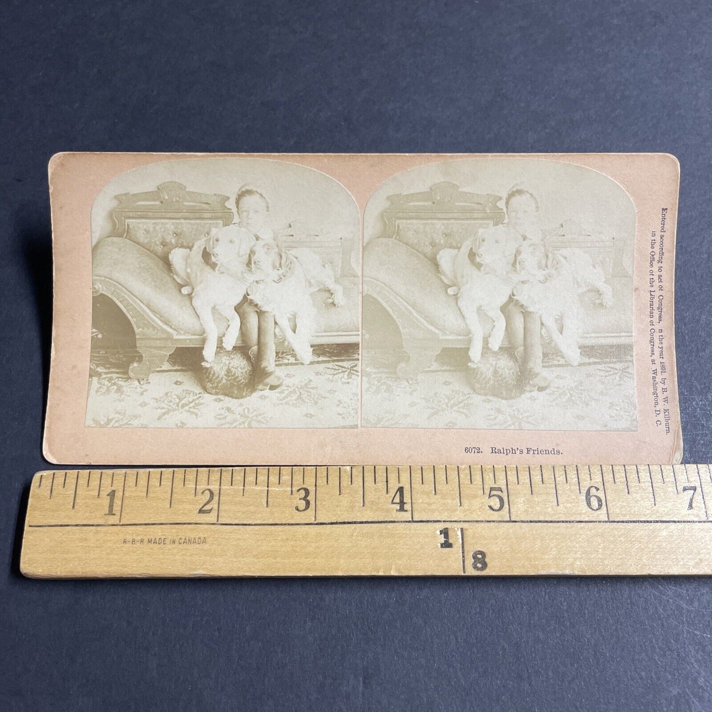 Antique 1891 Boy Hugs His Two Dogs On Couch Stereoview Photo Card P4634