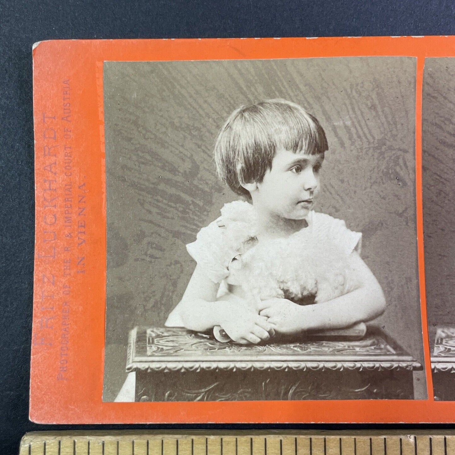 Child with a Bowl Cut Bowlcut Haircut Stereoview Fritz Luckhardt c1870s Y1322