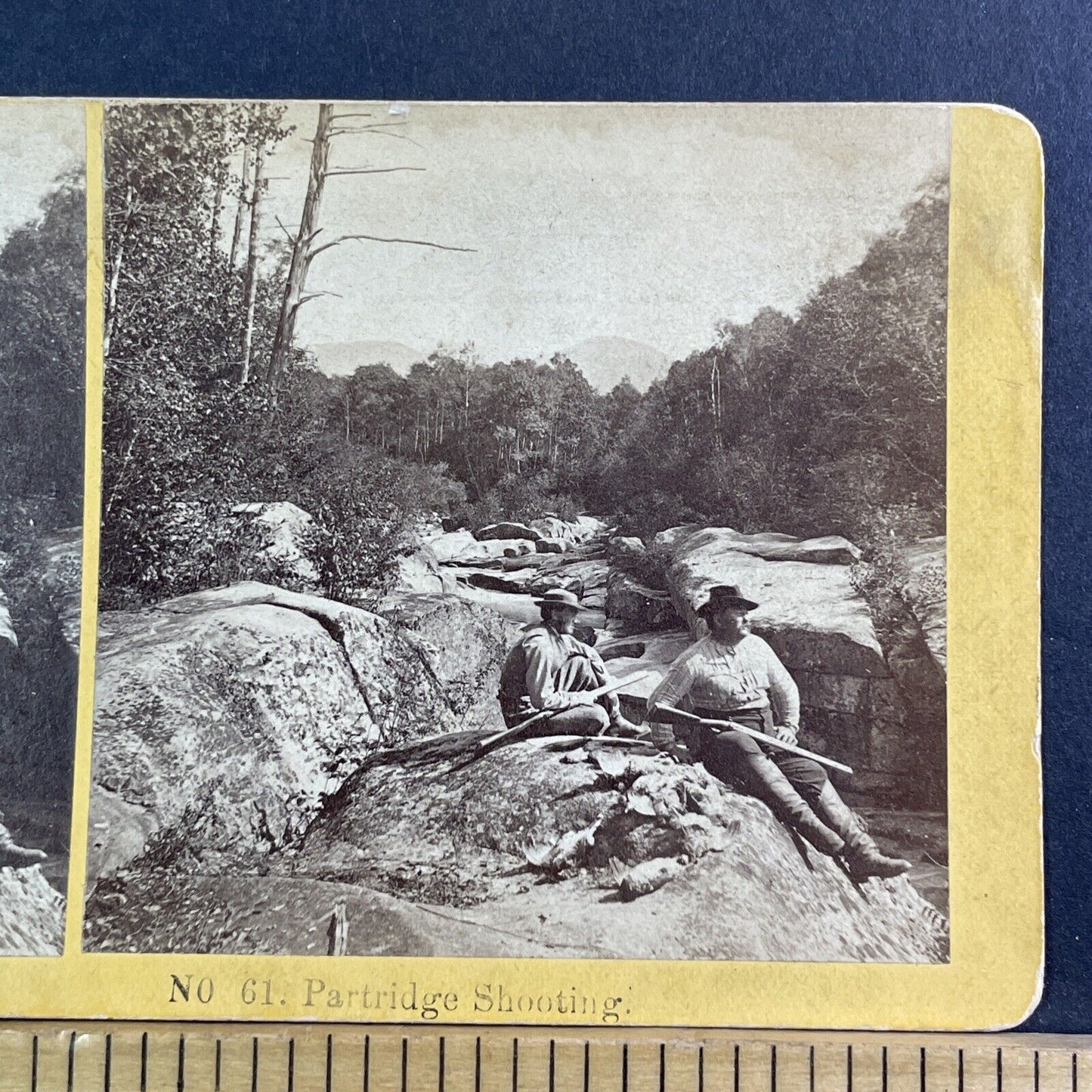 Hunting Partridge White Mountains NH Stereoview Antique c1872 X1533