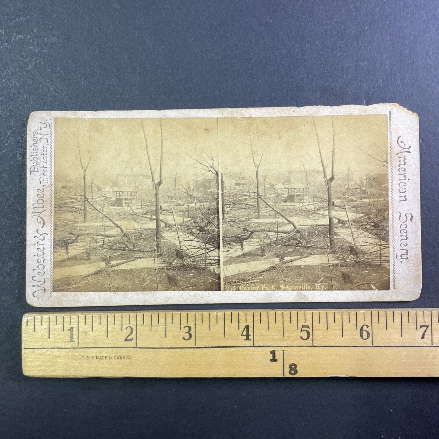 Louisville Kentucky F4 Tornado Disaster Stereoview Baxter Park c1890 X3741