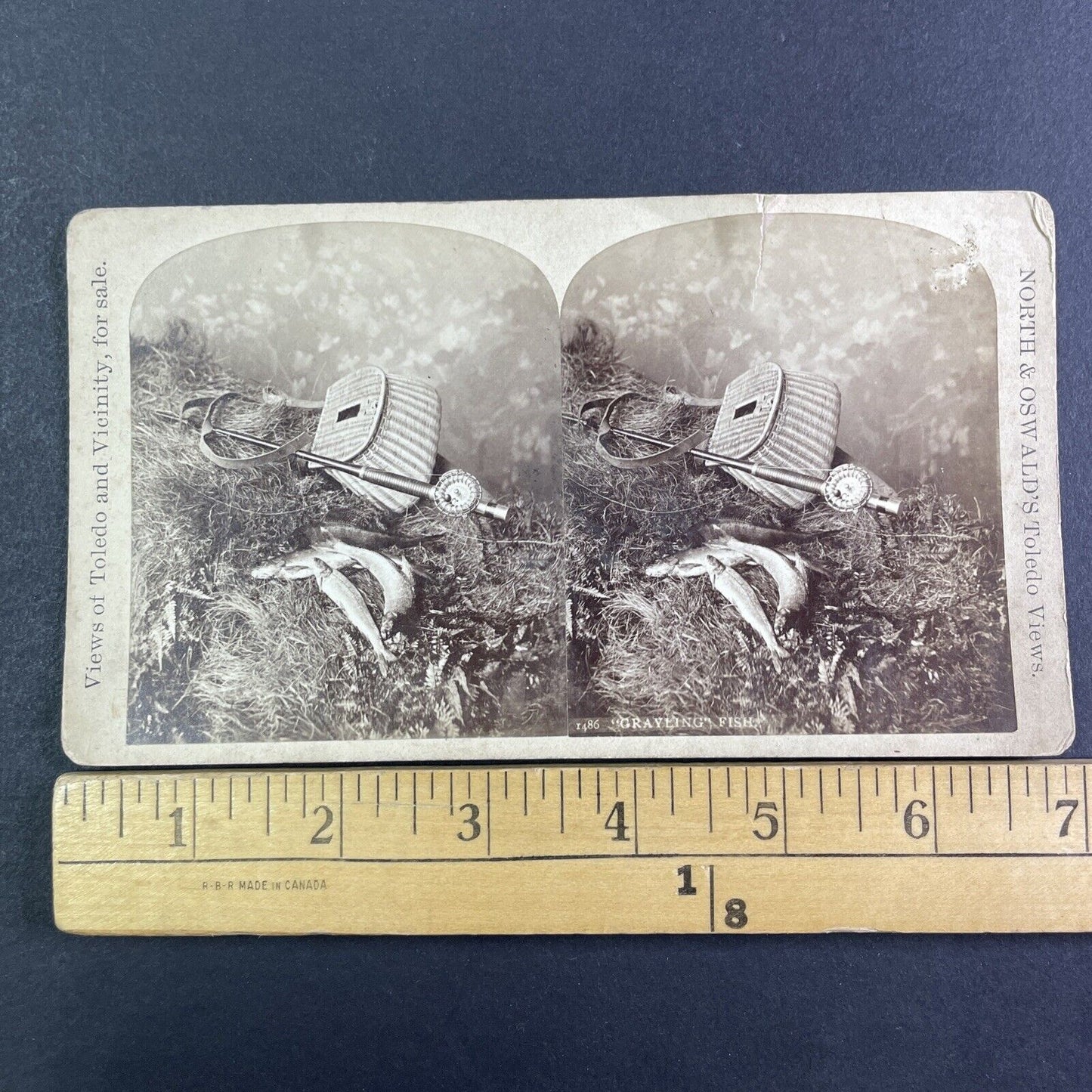 Grayling Fish and Fishing Rod Stereoview Toledo Ohio North & Oswald c1880 Y2254