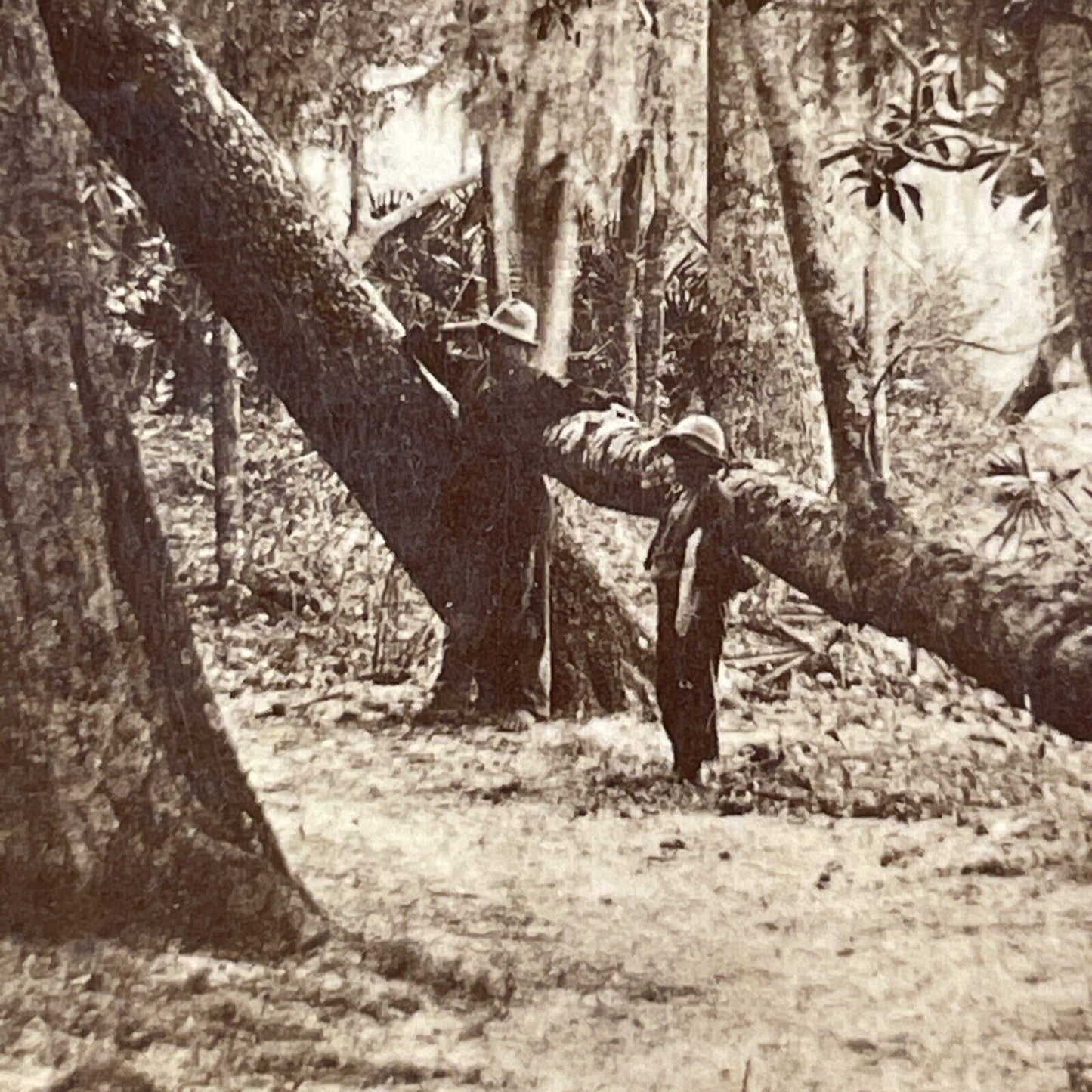 African American Creole Stereoview Green Cove Spring Florida Antique c1860s Y072