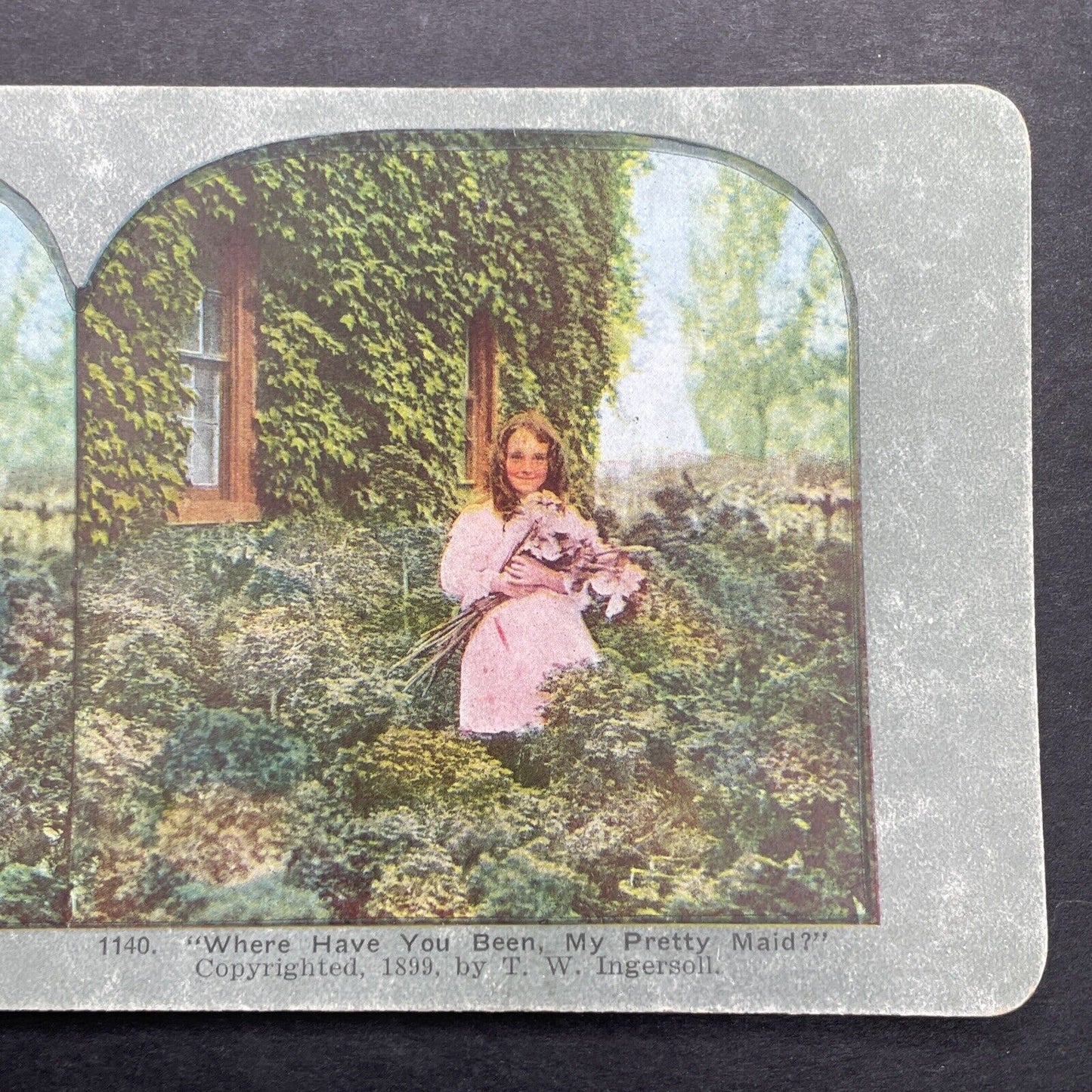 Antique 1899 Young Girl Picking Wild Flowers Stereoview Photo Card P580-043