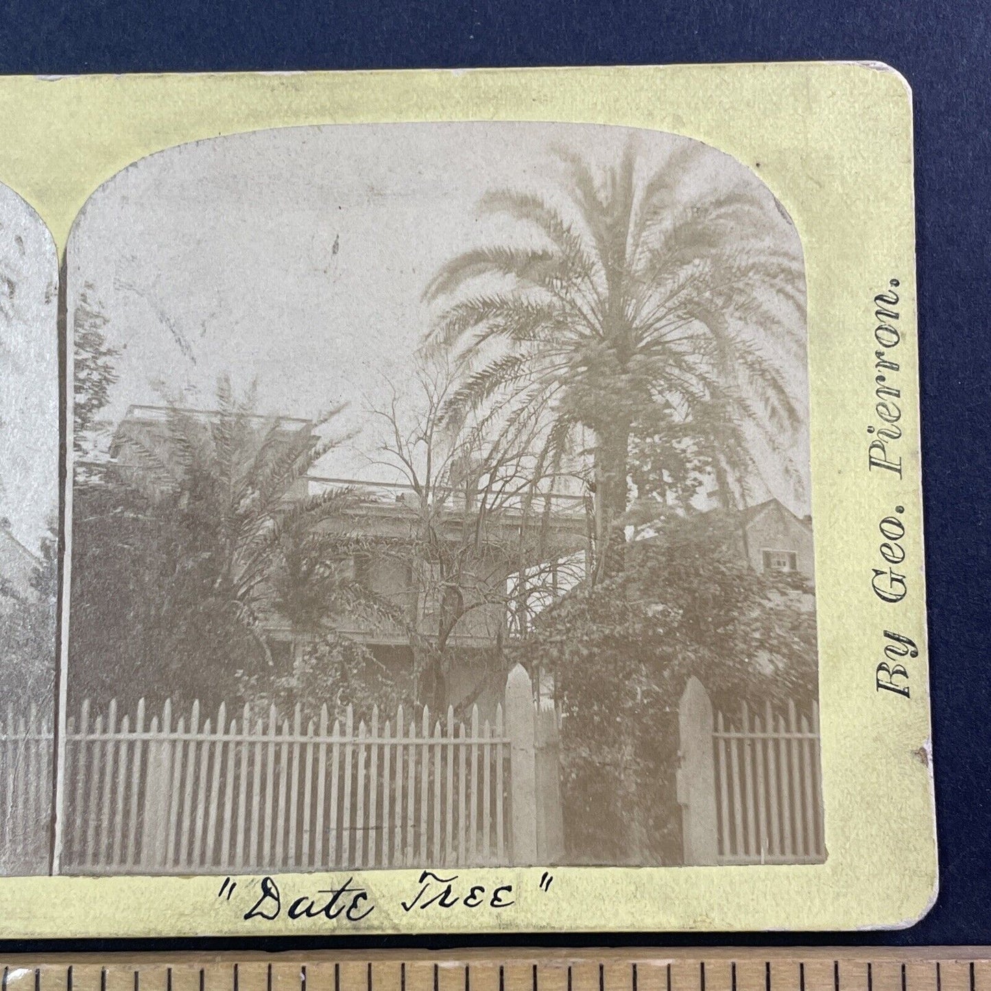 Dr. Oliver Bronson House St. Augustine FL Stereoview George Pierron c1875 Y046