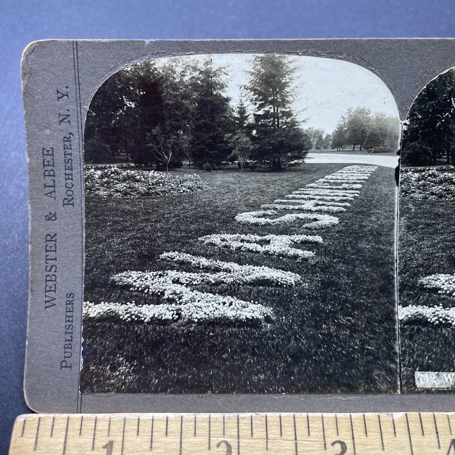 Antique 1906 Washington Park Chicago Illinois Stereoview Photo Card P2454