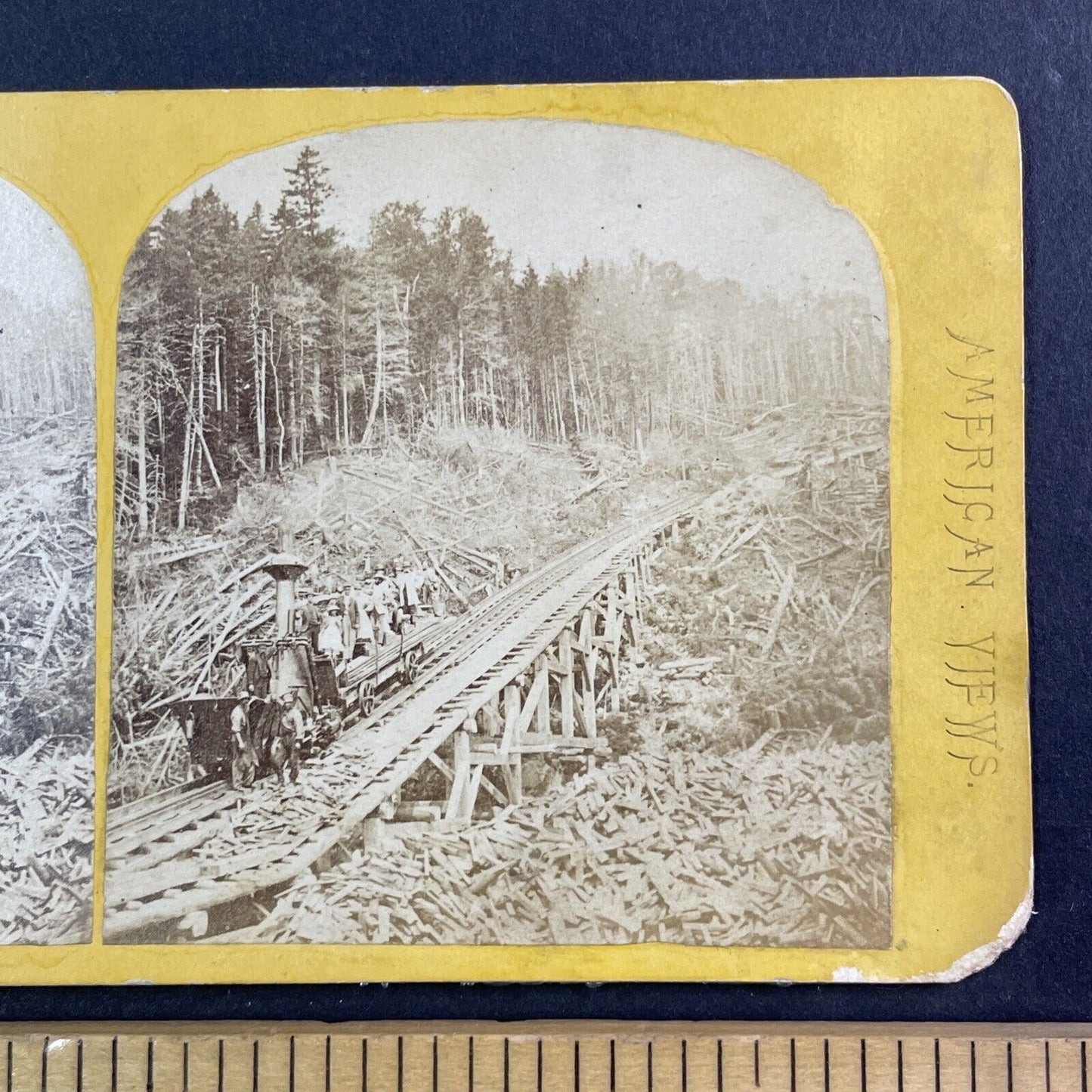 Mt Washington Railroad Sylvester Marsh Demonstration Train Stereoview c1866 Y873