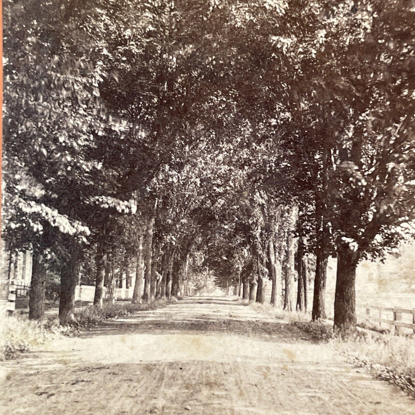 Dartmouth University Laneway Stereoview Hanover NH Photo Card Antique c1870 X938