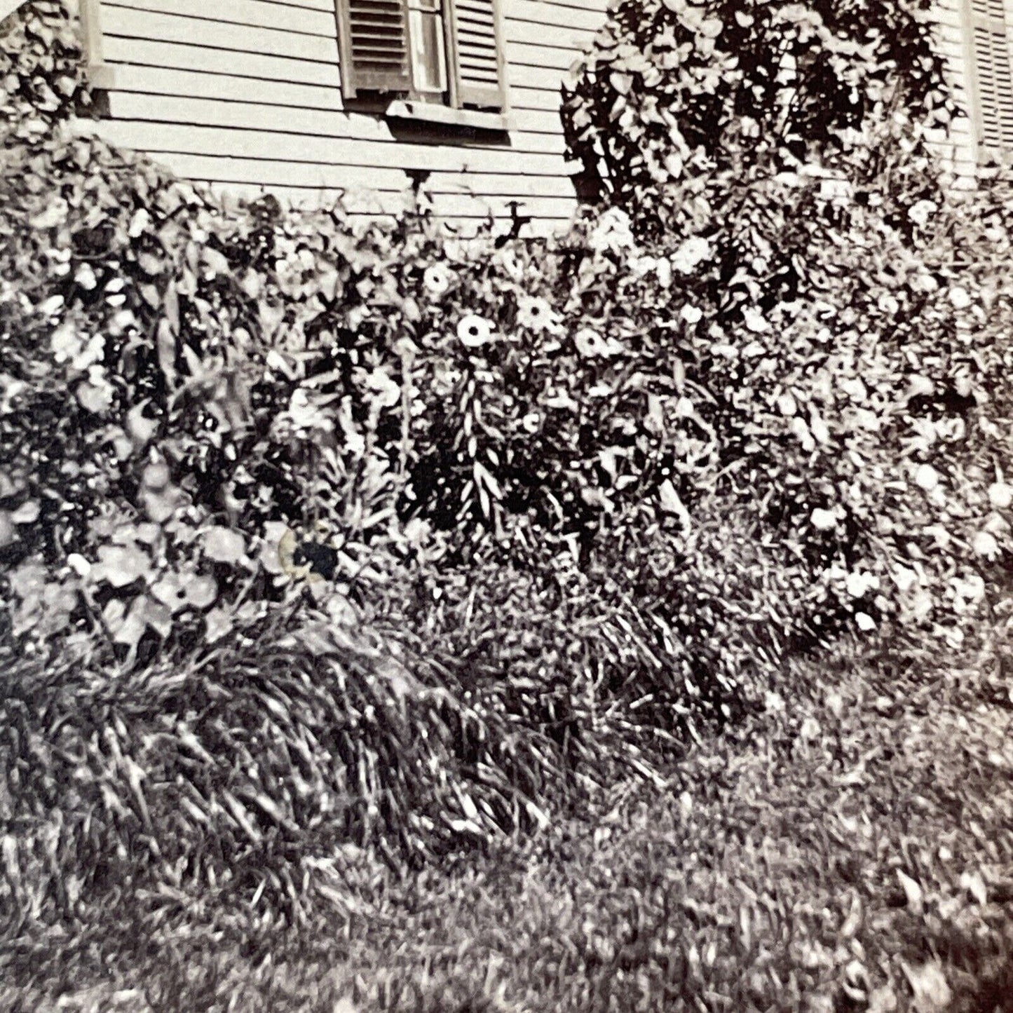 Manning House Garden Wolfeboro NH Stereoview ET Brigham Antique c1875 X1206