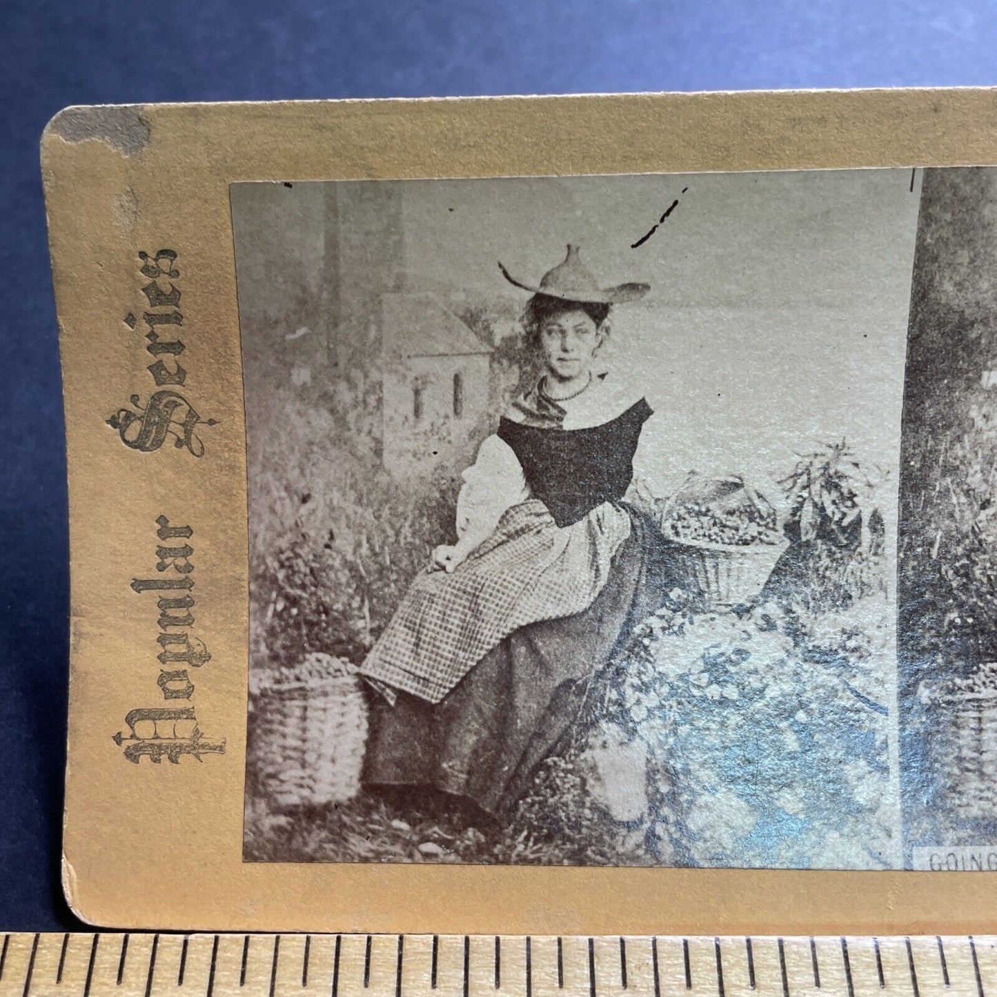 Antique 1860s English Peasant Girl At Harvest Stereoview Photo Card P2093