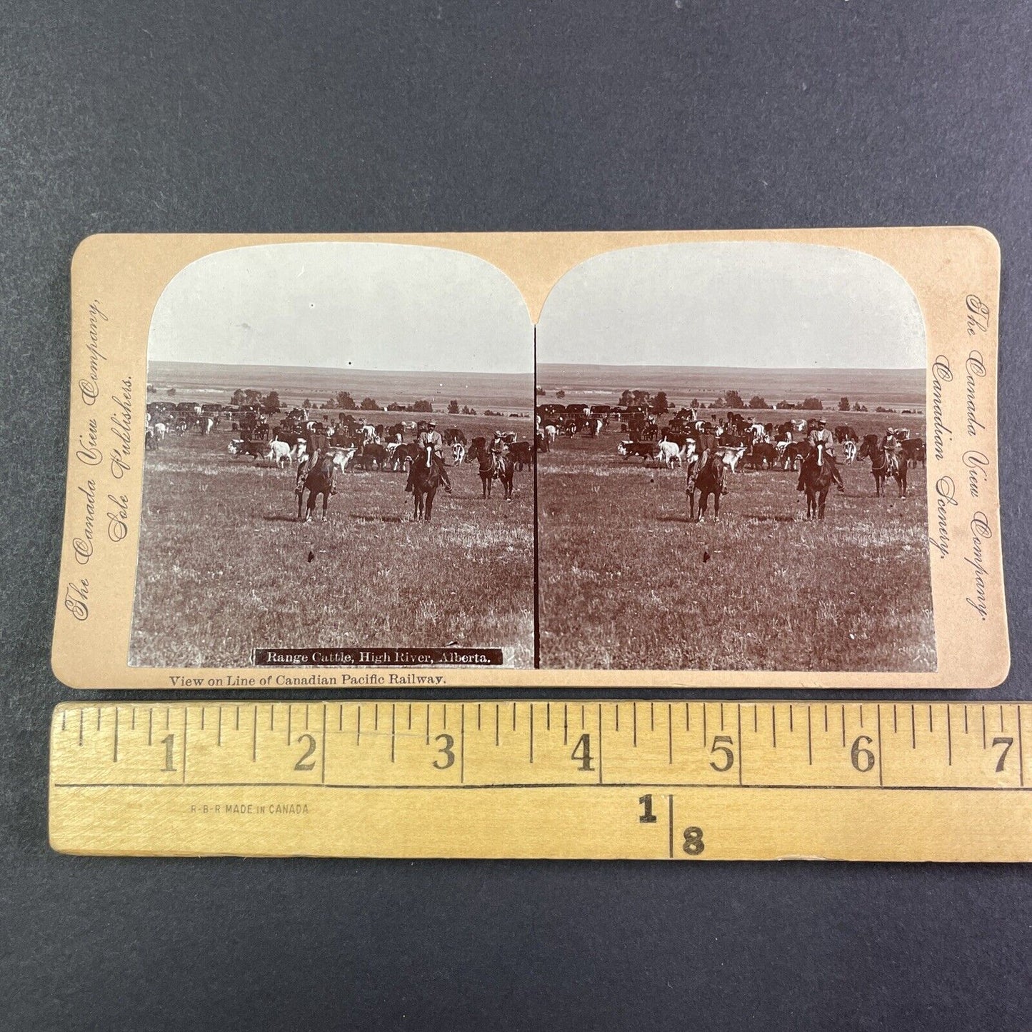 Cowboys in Central Alberta Canada Stereoview CPR Rail Views c1899 Y2116