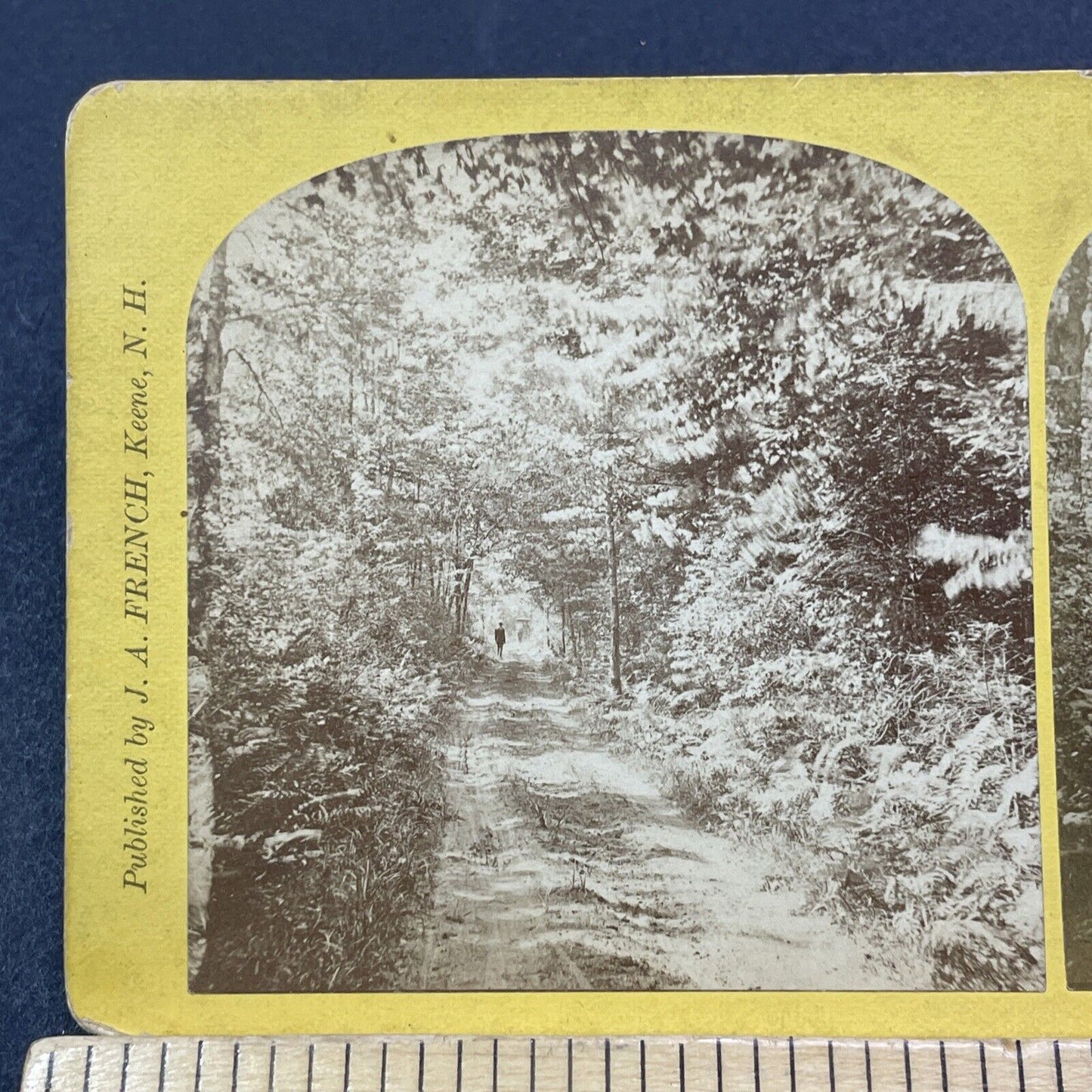 Antique 1870s Silent Way Looking North Keene NH Stereoview Photo Card V2094