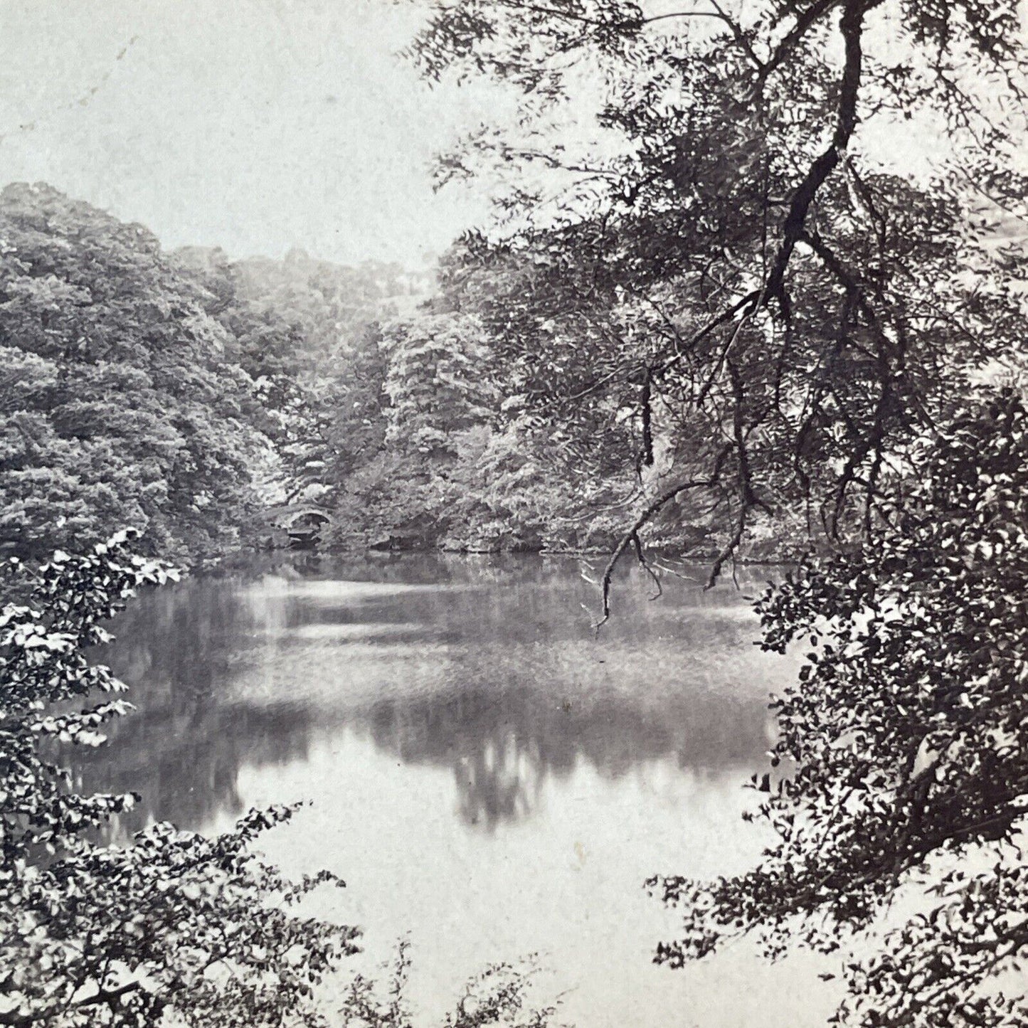 Ugbrooke Chudleigh Devon England UK Stereoview Lake View Antique c1870 X3717