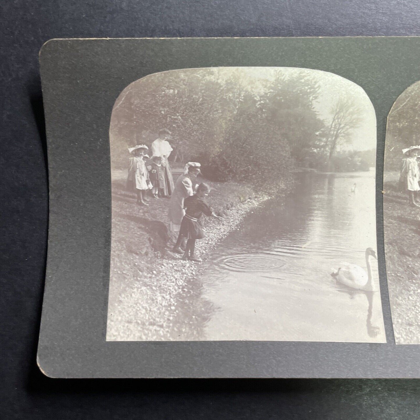 Antique 1909 Jamaica Pond Boston Massachusetts Stereoview Photo Card P1440