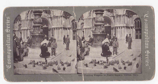 Antique 1880's Children Feeding Pigeons In Venice Italy Stereo Card P354