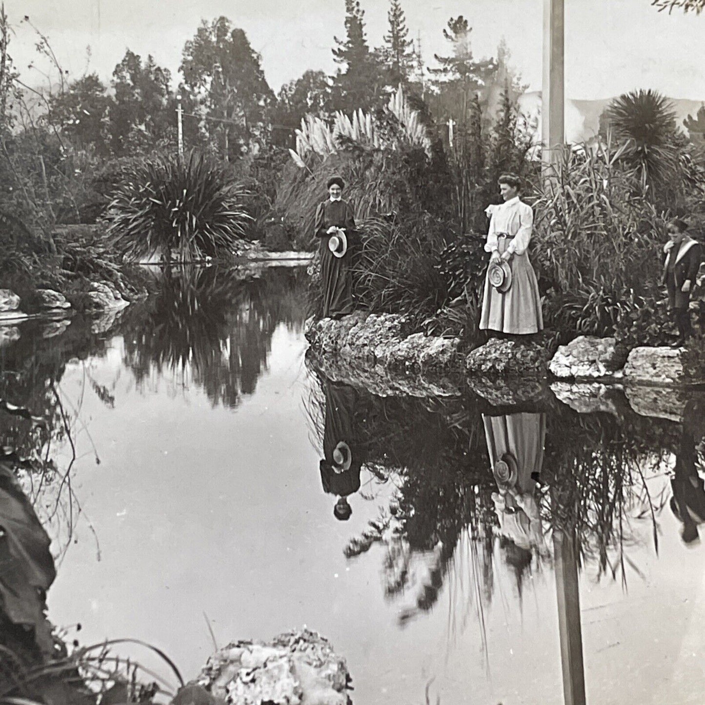 Rotorua North Island New Zealand Stereoview Public Gardens Antique c1911 X3538