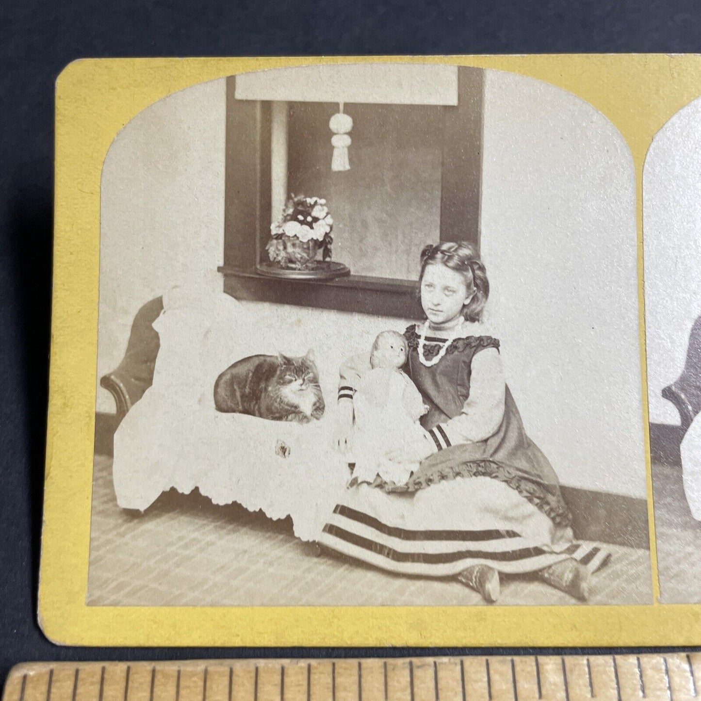 Antique 1870s Wealthy French Girl With Cat & Doll Stereoview Photo Card P4693