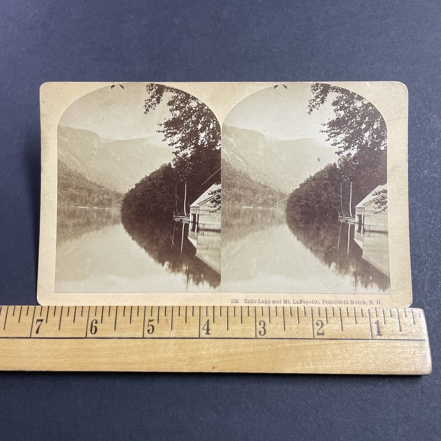 Antique 1880s Echo Lake Franconia Notch NH Stereoview Photo Card P856-13