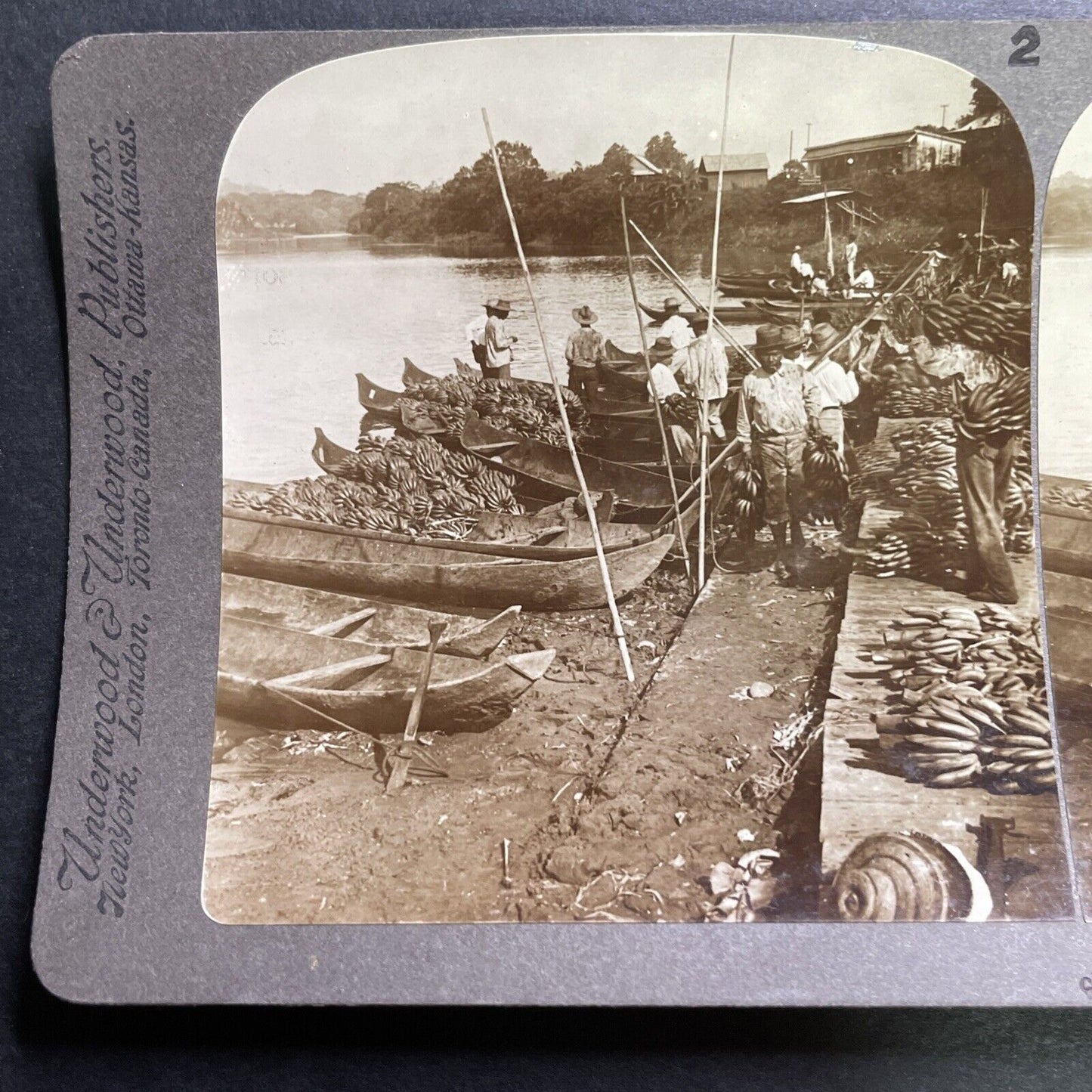 Antique 1905 Panama Native Indians Exporting Bananas Stereoview Photo Card P1425