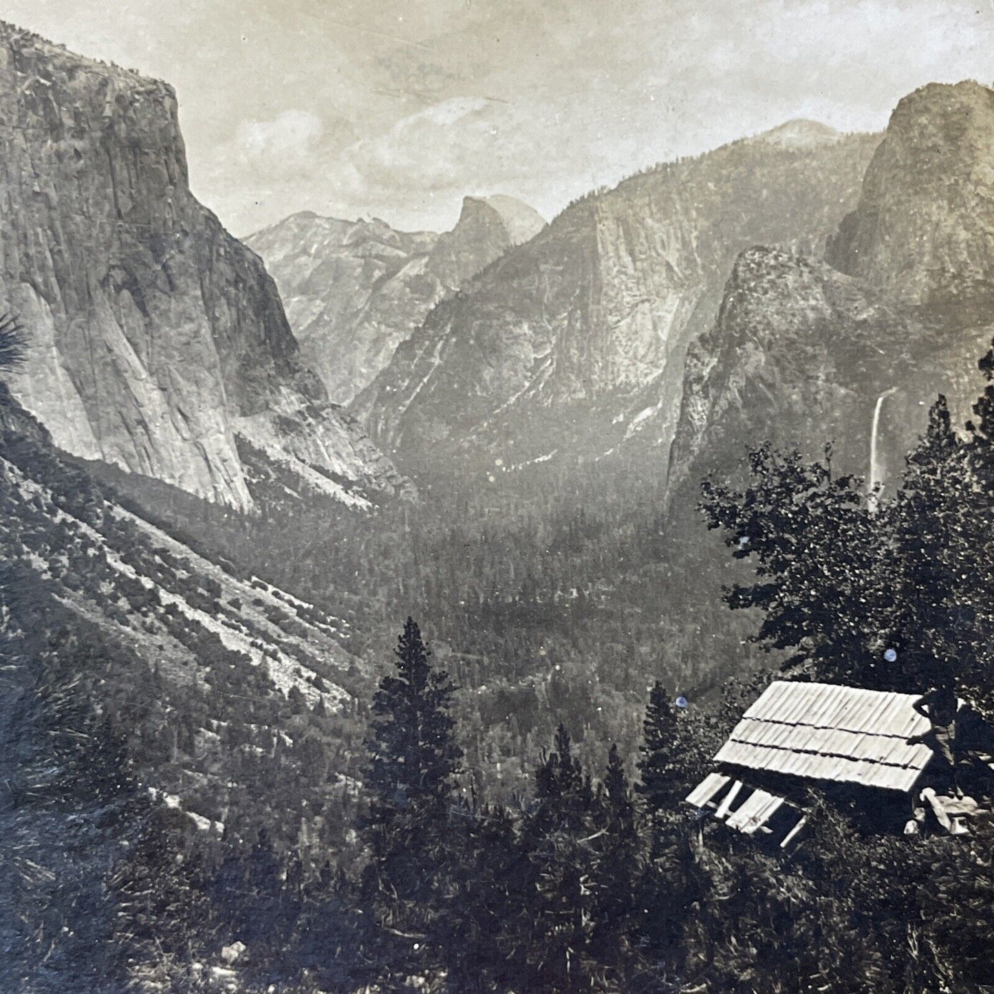 Antique 1880s John Muir In Yosemite California Stereoview Photo Card V2119