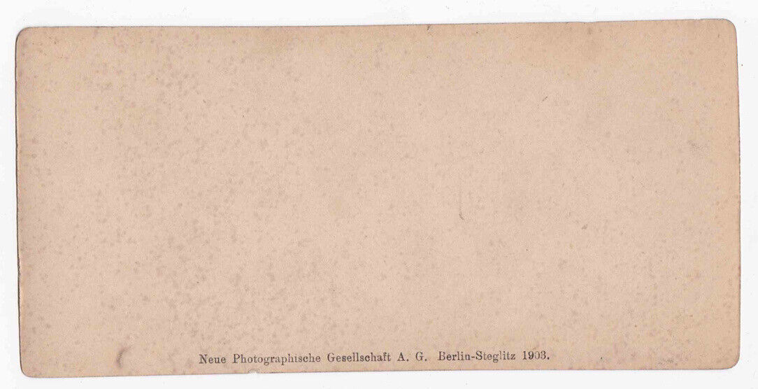 Antique 1903 Bacharach, Steger Thor Und Das Thal Germany Stereo Card P337