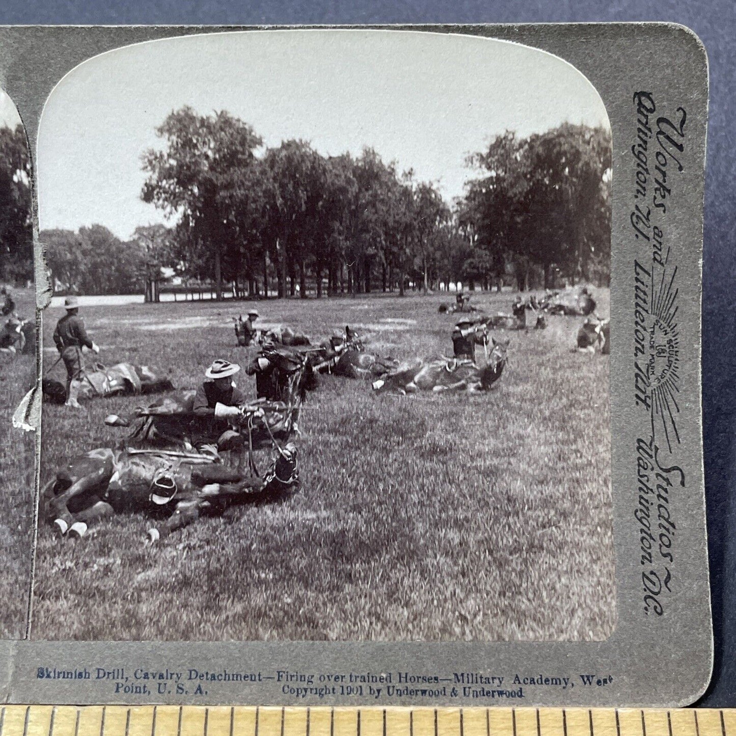 Antique 1901 US Cavalry Trains Horses To Play Dead Stereoview Photo Card V3275