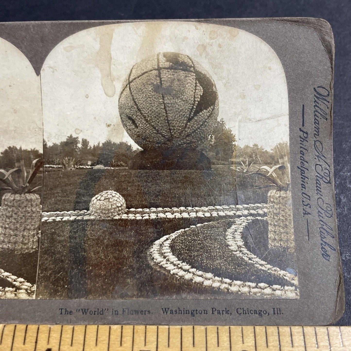 Antique 1900 Massive Flower Globe Chicago Illinois Stereoview Photo Card P4840