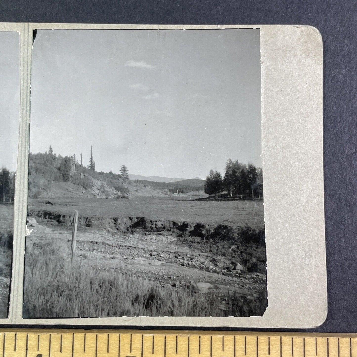 Eleven Mile Canyon Lake George Colorado Stereoview Antique c1933 Y2417