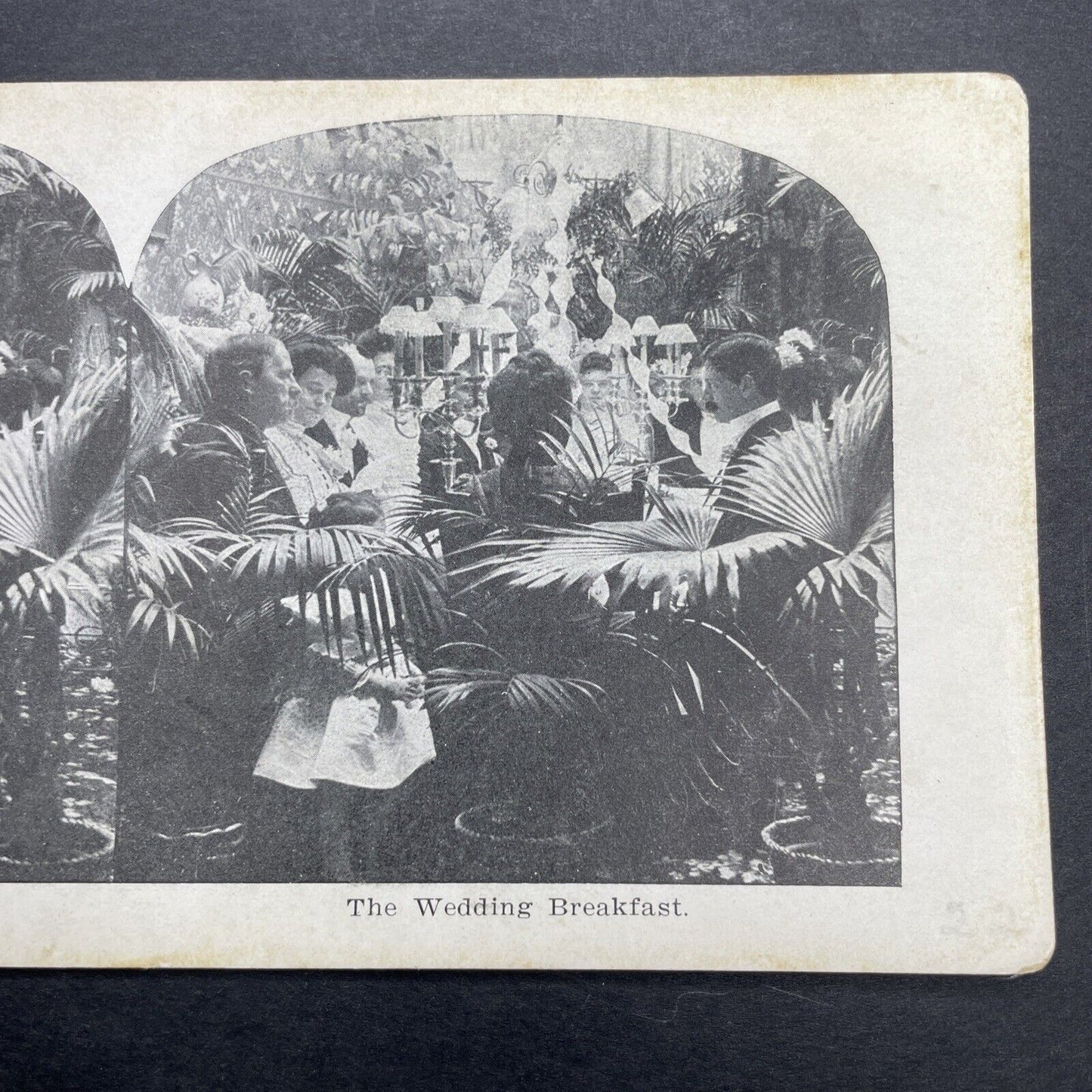 Antique 1906 Wealthy Chicago Family Wedding Breakfast Stereoview Photo Card P1129