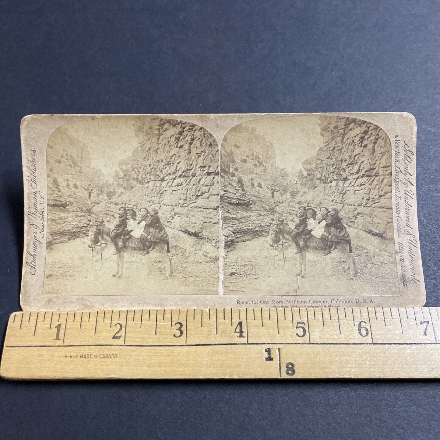 Antique 1894 Williams Canyon Colorado Donkey Ride Stereoview Photo Card P5218