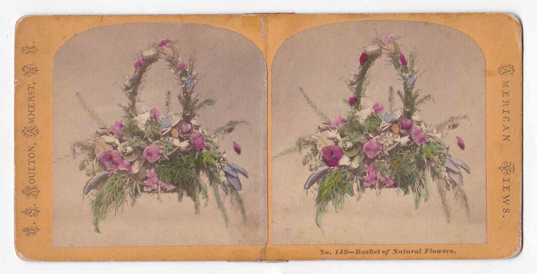 Antique 1860s A Flower Basket Arrangement Hand-Colored Photo Stereo Card P216