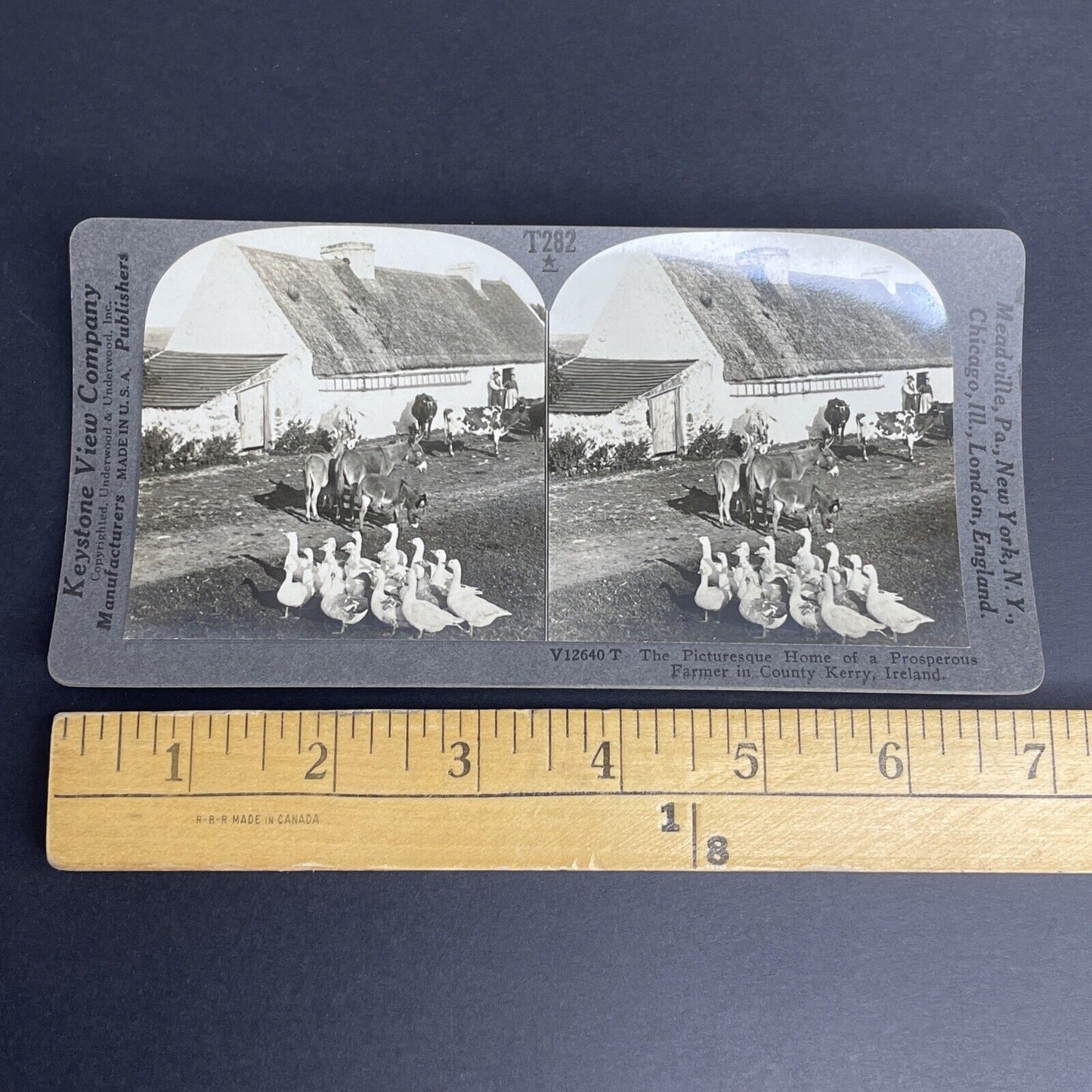 Antique 1901 County Kerry Ireland Farmers Stereoview Photo Card PC773