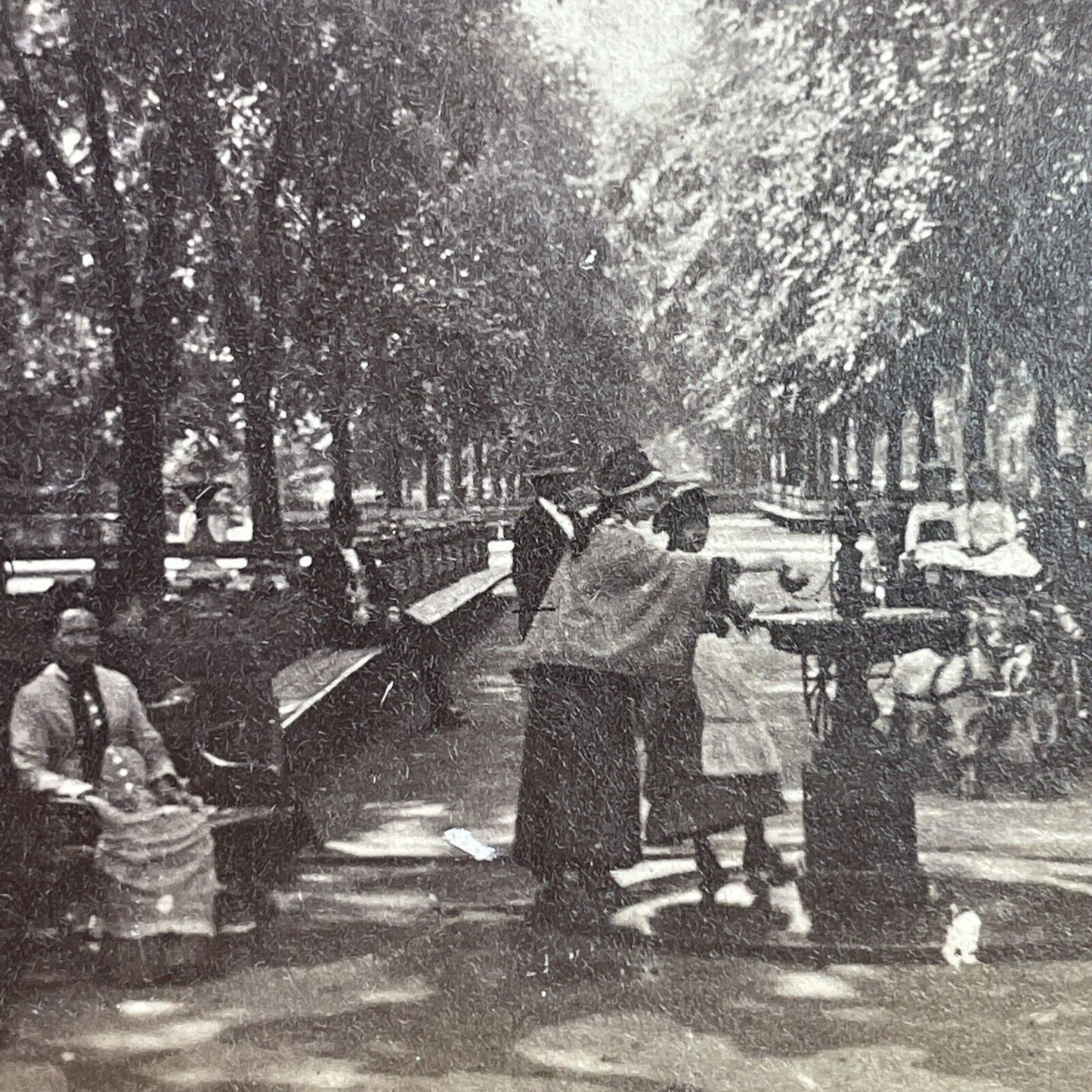 Antique 1860s Central Park Mall Manhattan New York Stereoview Photo Card P1170