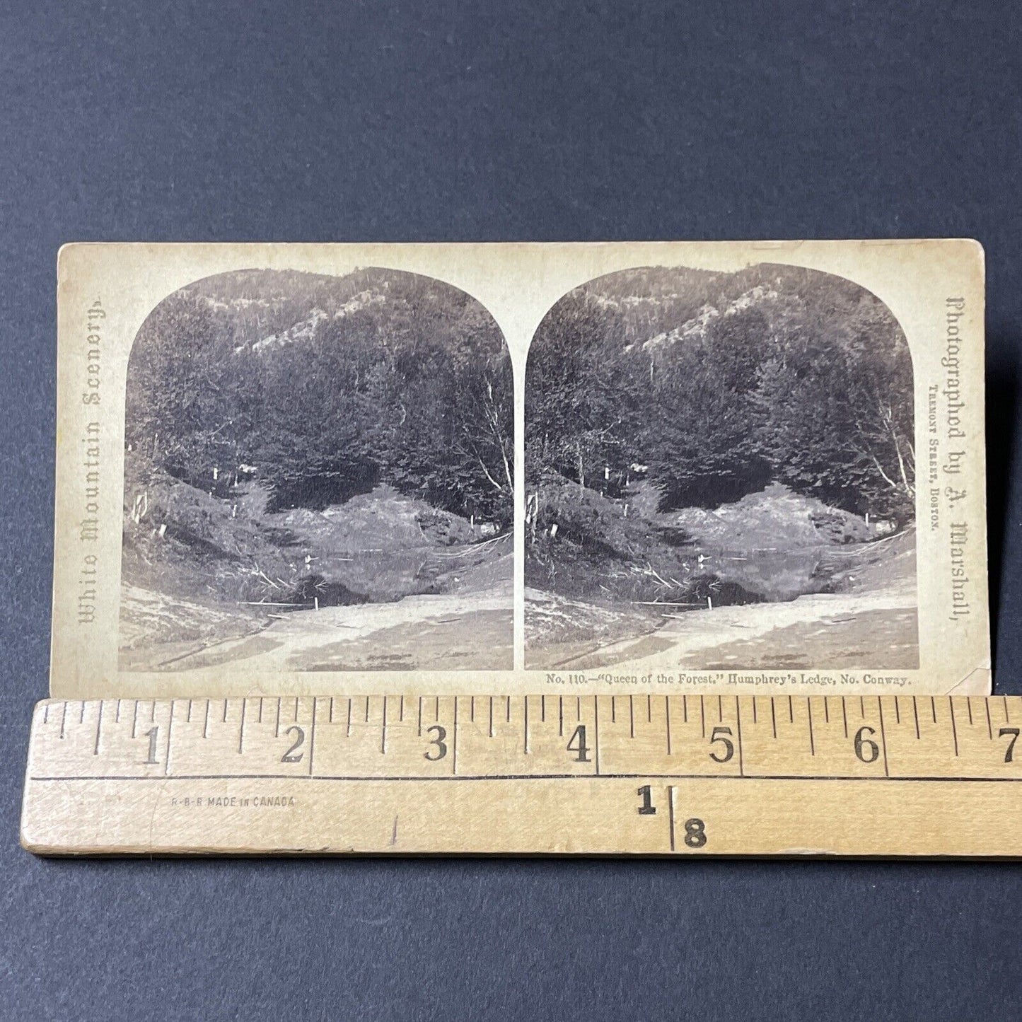 Antique 1880s Humphrey's Ledge North Conway NH Stereoview Photo Card V1844