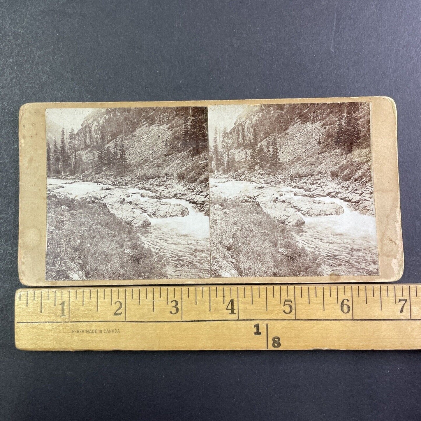 Kumir River Altai Siberia Russia Stereoview IR Tomashkevich Antique c1896 X2622